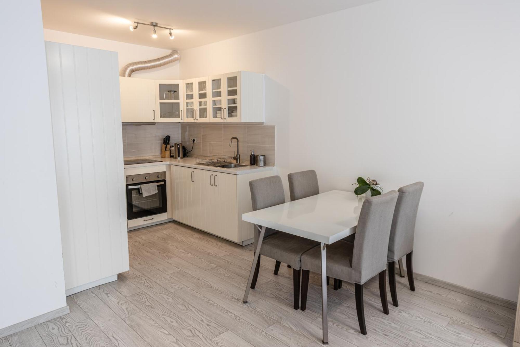 Spacious Terrace Apartment With Free Private Parking 布拉格 外观 照片