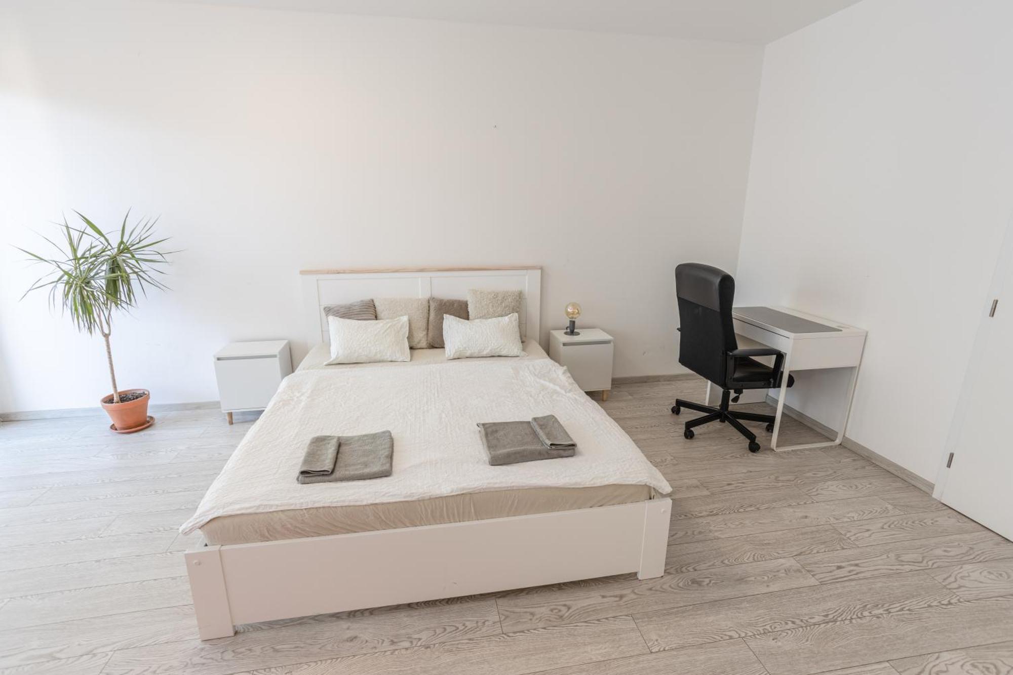 Spacious Terrace Apartment With Free Private Parking 布拉格 外观 照片