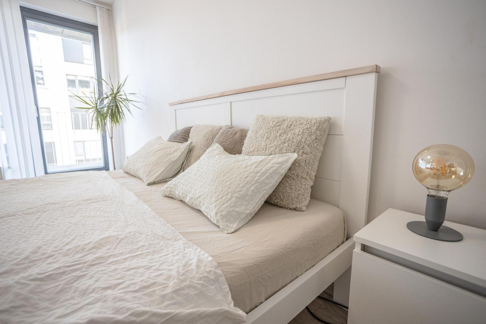 Spacious Terrace Apartment With Free Private Parking 布拉格 外观 照片